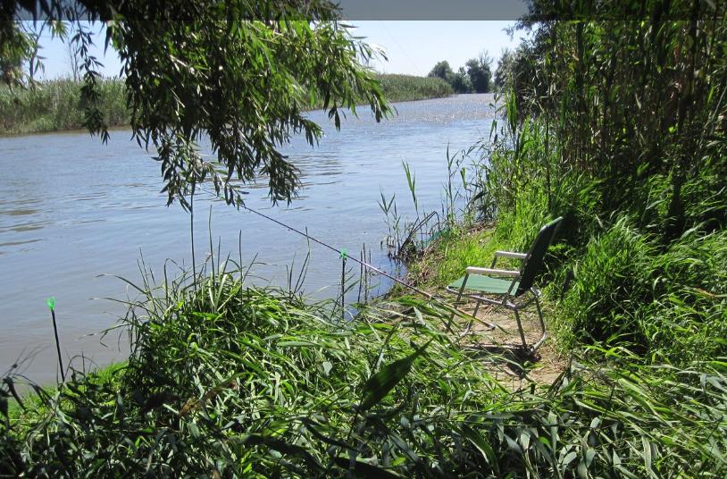 Остров Колочный