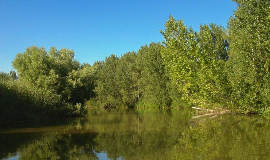 Заповедная Сказка