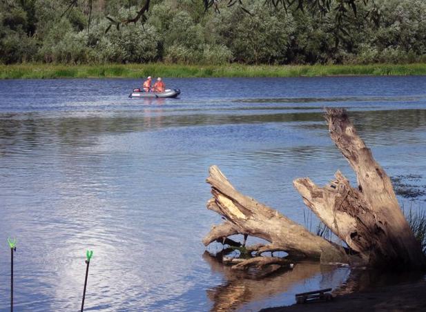 Усадьба в Хмелёвке