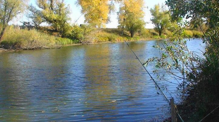 Белые Холмы