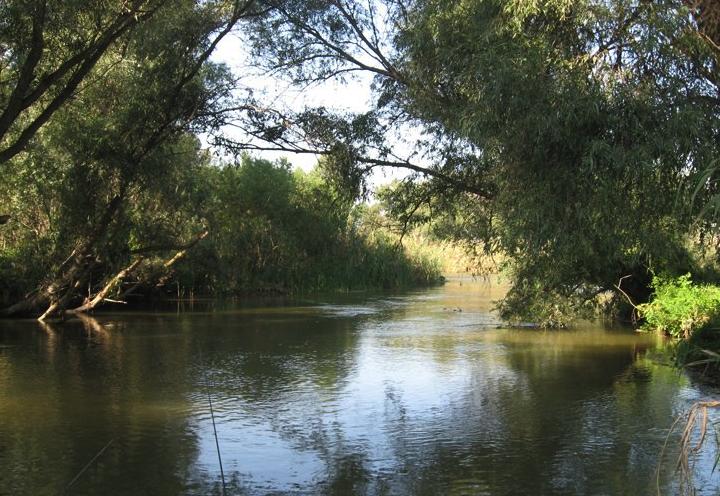 Булгарский Дворик