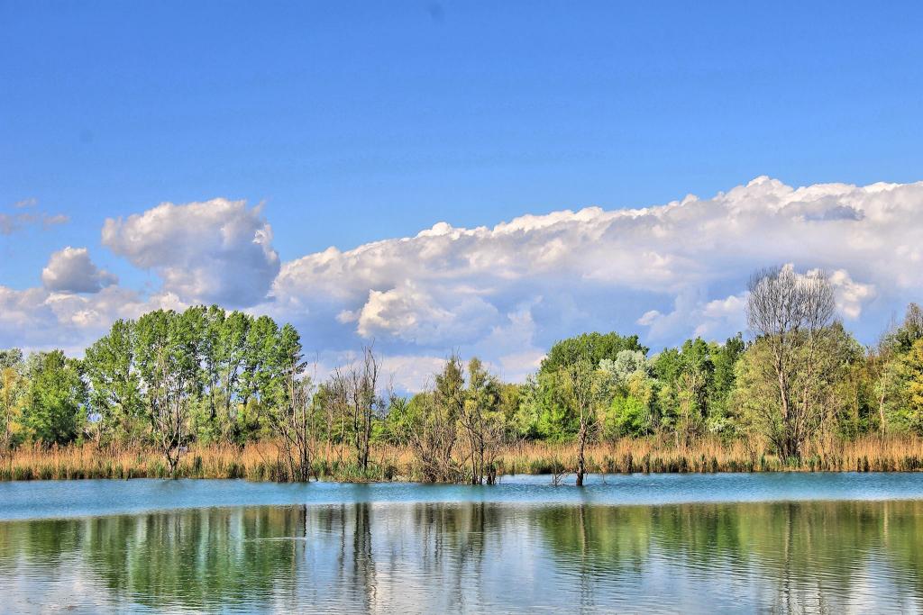 WILD LAKE Soncino.