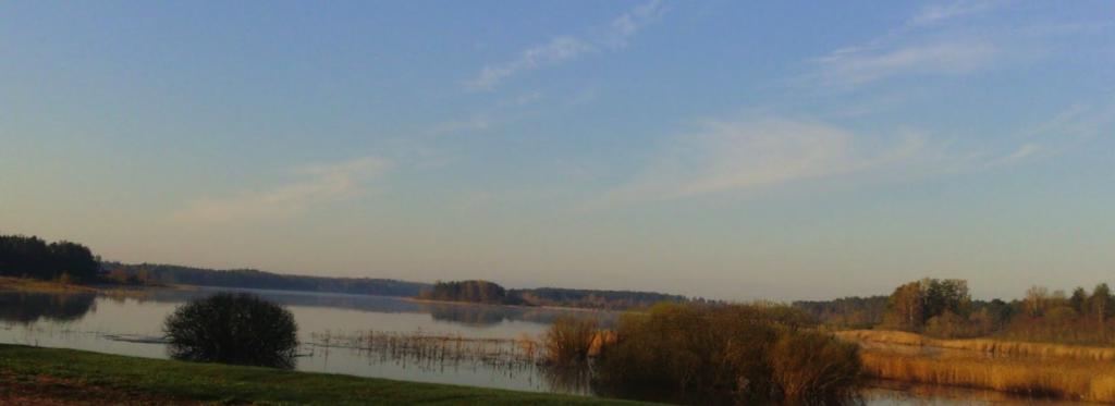 Бравый капитан