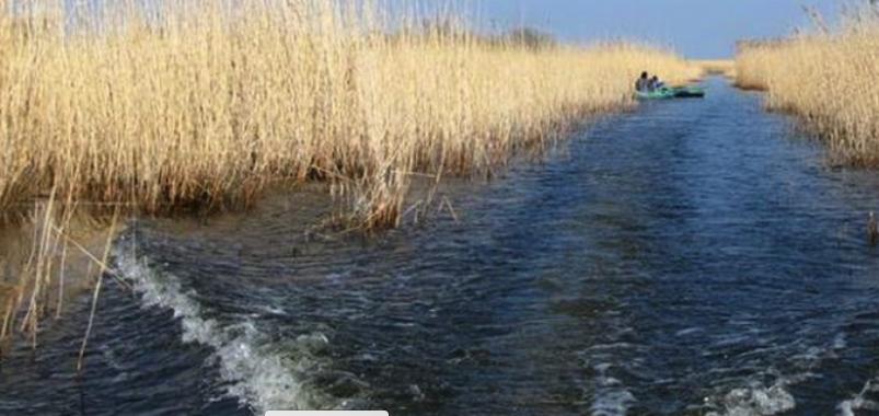 Хутор Мушкино