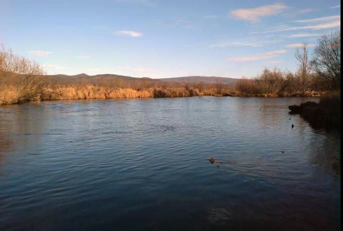 Орбита рыболова