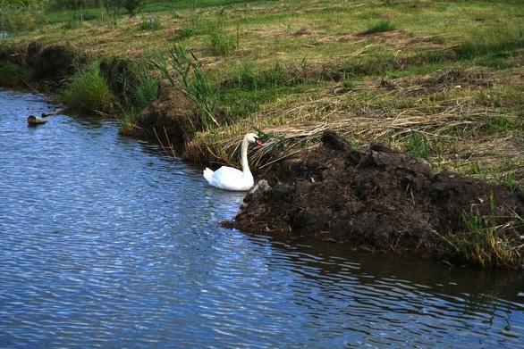 На Черкасском тракте