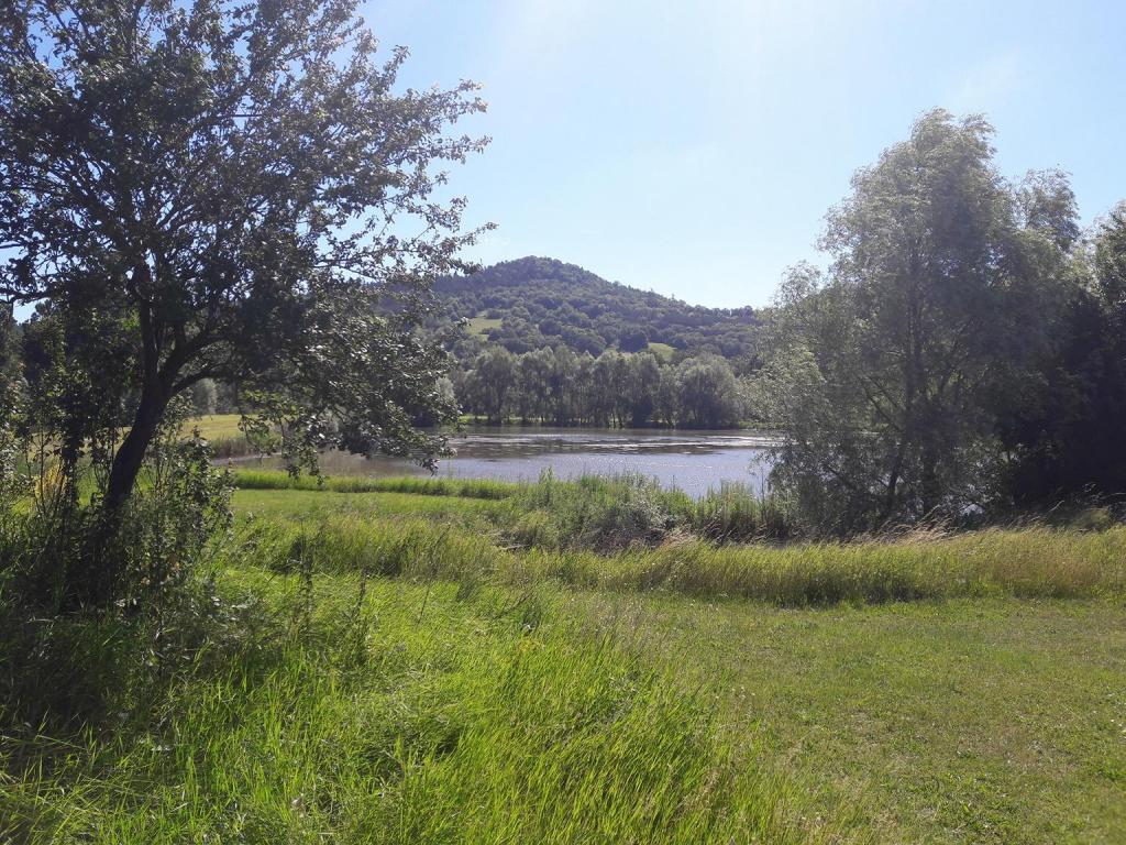 Les Etangs du Bord de Loire