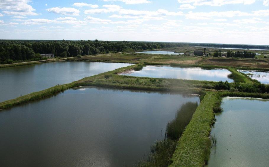 Добровский зональный рыбопитомник