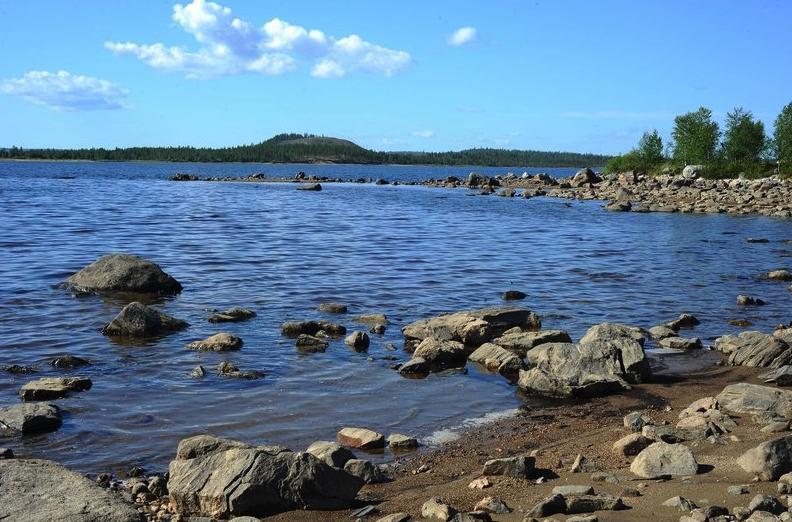 Зеленый берег