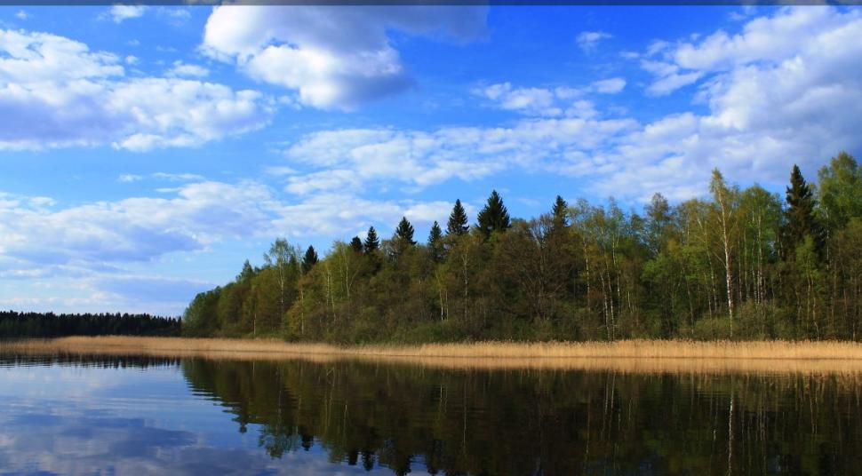 Константинова усадьба