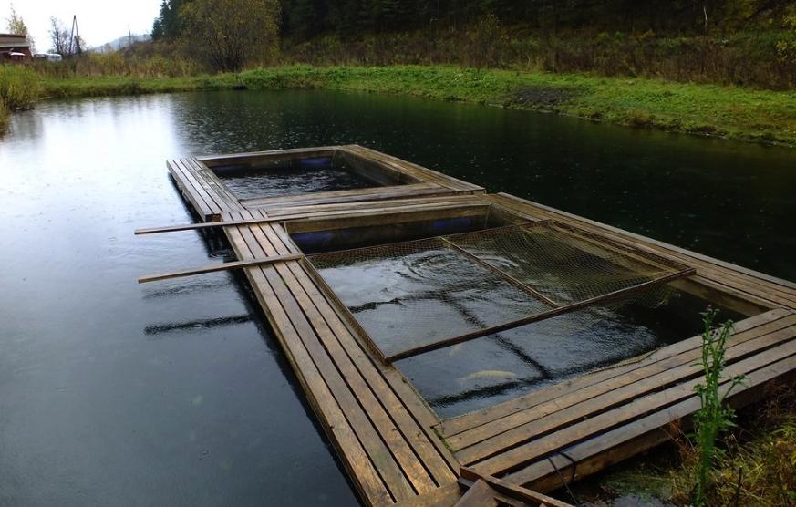 Цыганский лог