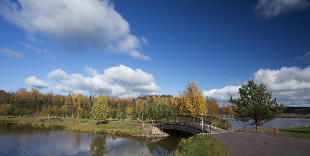 Черные камни