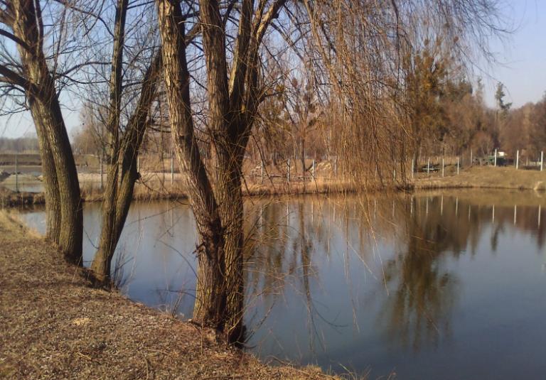 «Білі Камені»