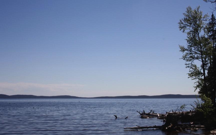 ИП Мешков И.А.