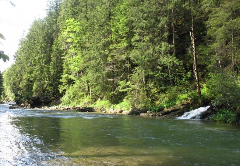 Карпатская Вилла