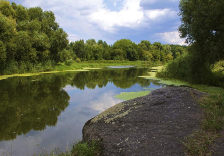 Лісова казка