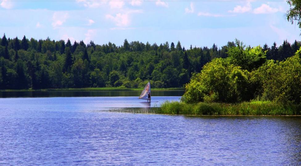 Лесная дача