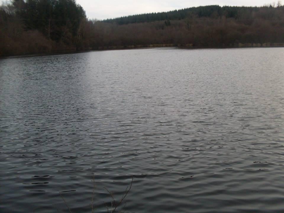 L étang du moulin de boubon