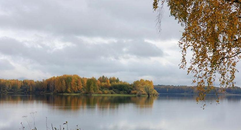 Берег мечты