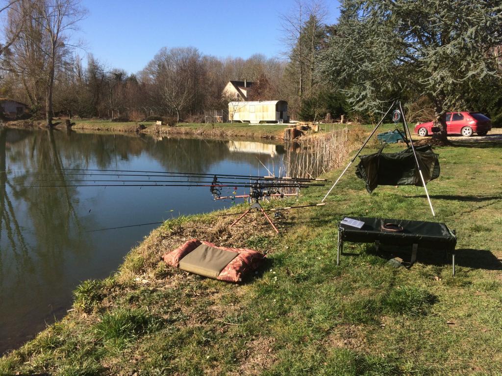 L'Etang des Sycomores
