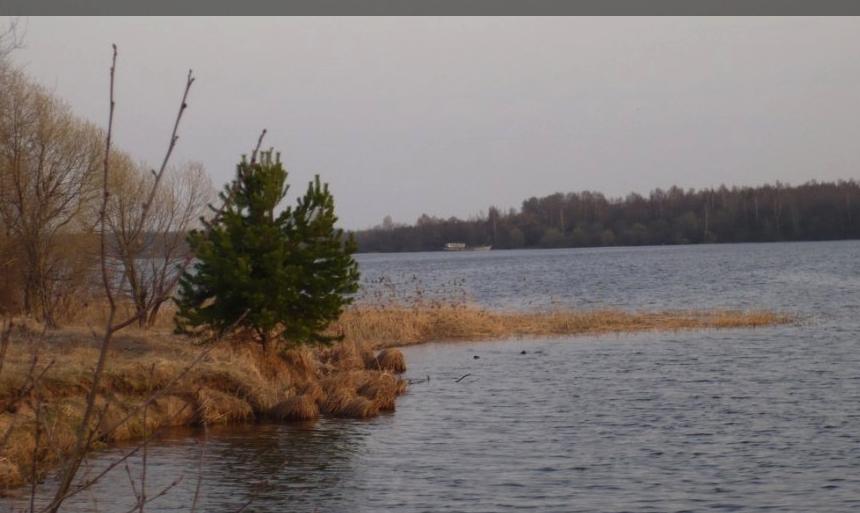 Большая Медведица