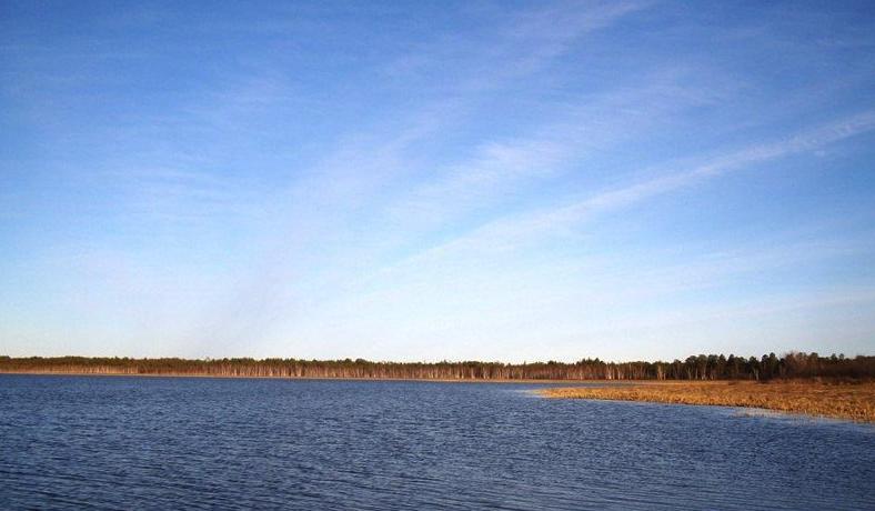 В гостях у Лешего