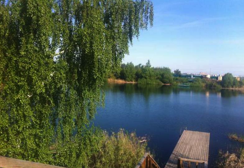 Золотая рыбка