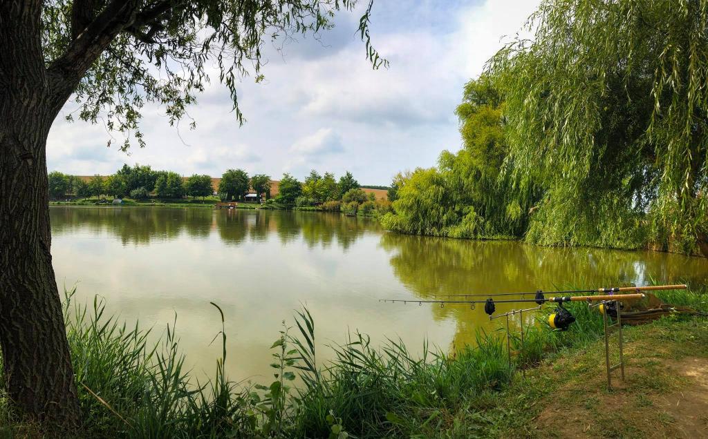 Hidegvölgyi Horgásztó és Vadaspark