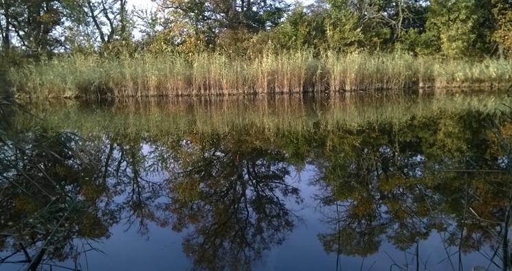 Казачья пристань