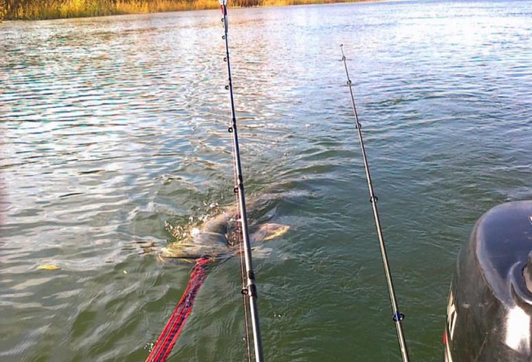 Стародонье