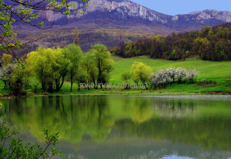 У горной речки