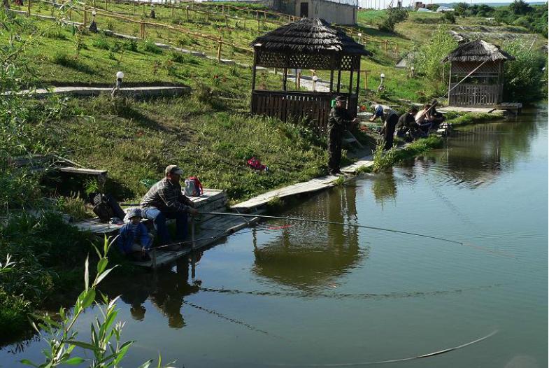 Черные камни