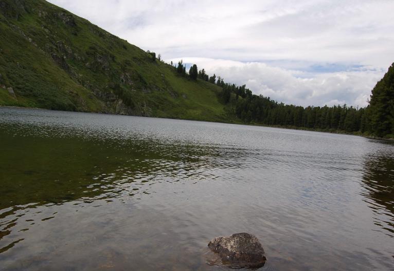 Медвежья гора