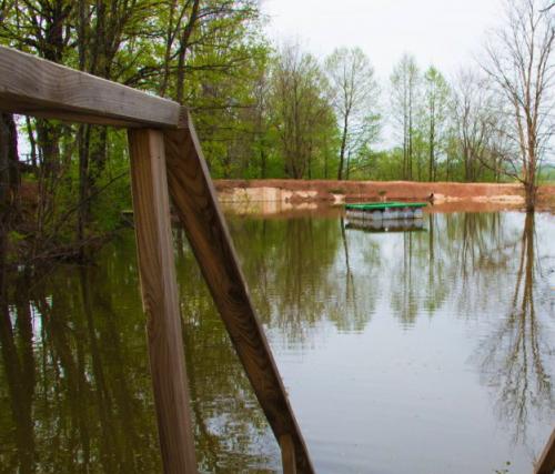 Живые родники