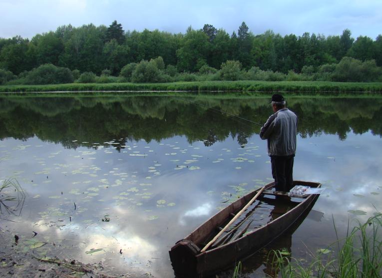 Серая Лошадь