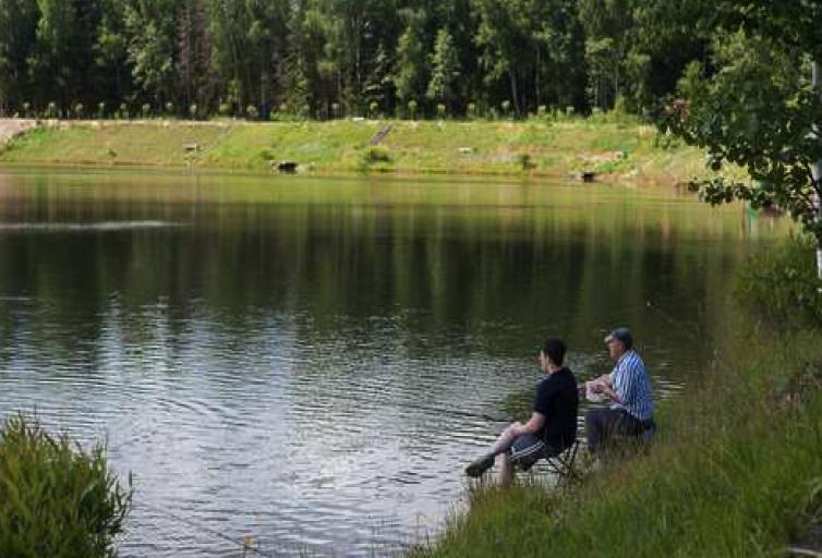 Экопарк Веретьево