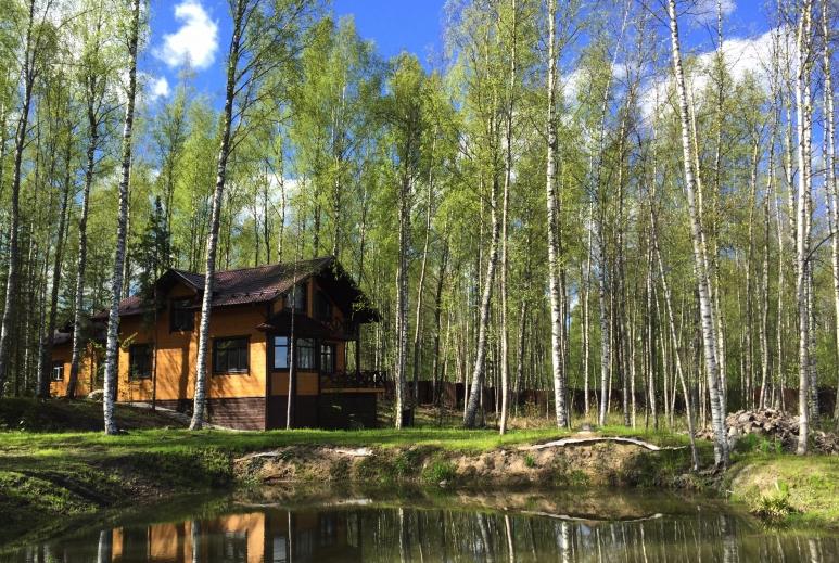 Семь пятниц