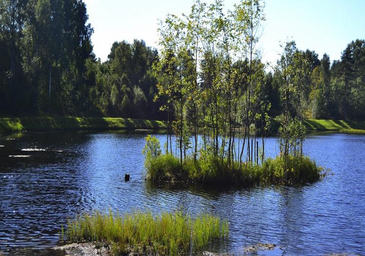 Хозяйство доброе