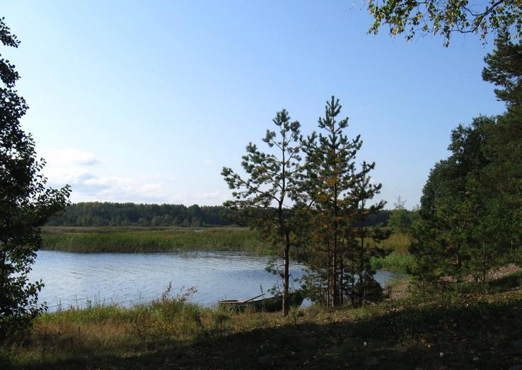 Холодный ручей