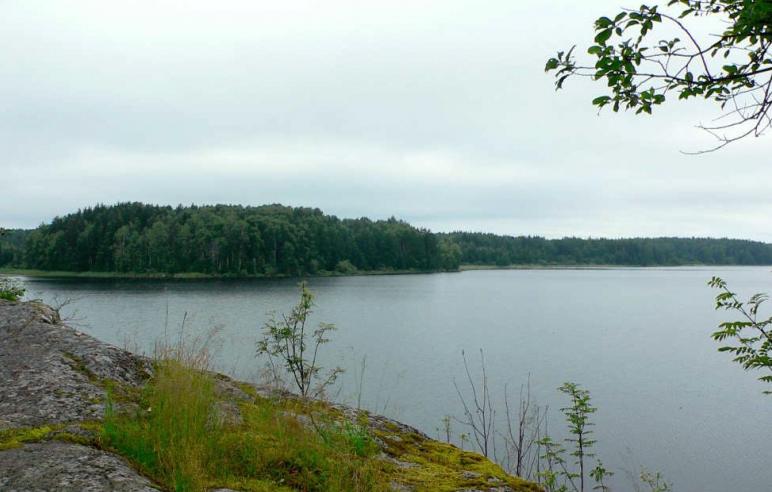 Царство Снегурочки