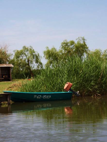 Новонекрасовка