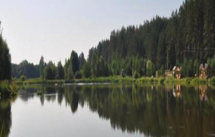 Царицына Слободка