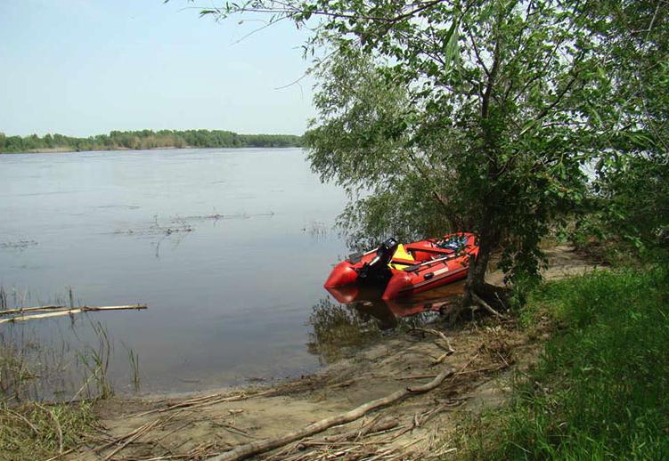 Донская Вольница