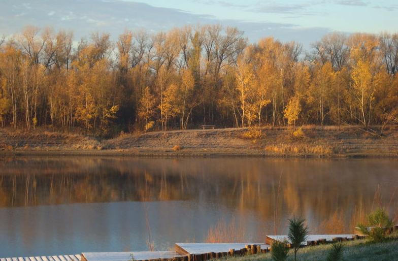 Летучая рыба