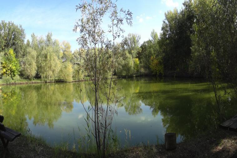 Усадьба Репино