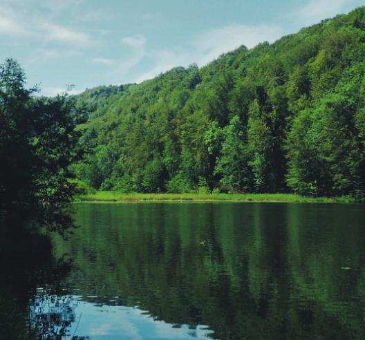 Departement Bau, Verkehr und Umwelt