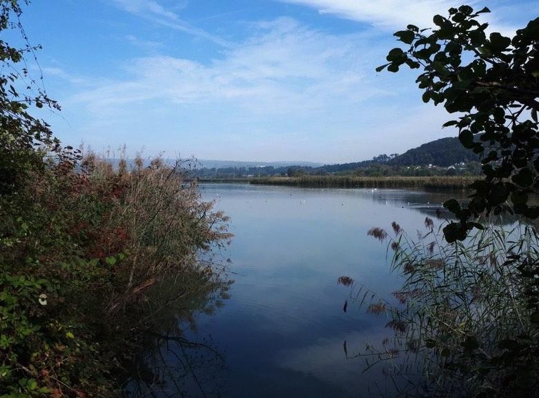 Departement Bau, Verkehr und Umwelt