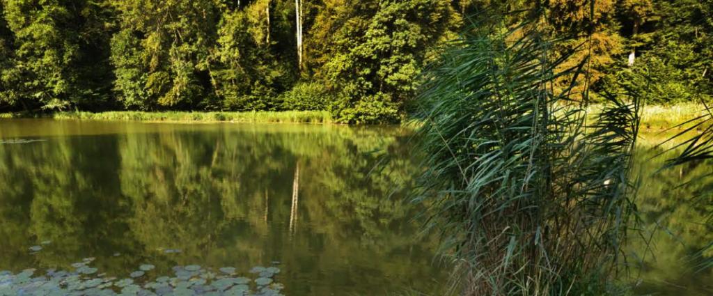 Departement Bau, Verkehr und Umwelt