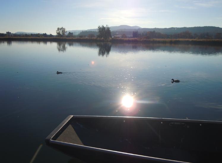 Departement Bau, Verkehr und Umwelt