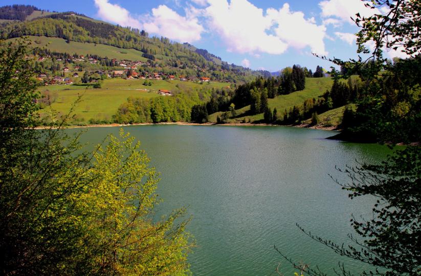 Amt für Wald und Natur WNA